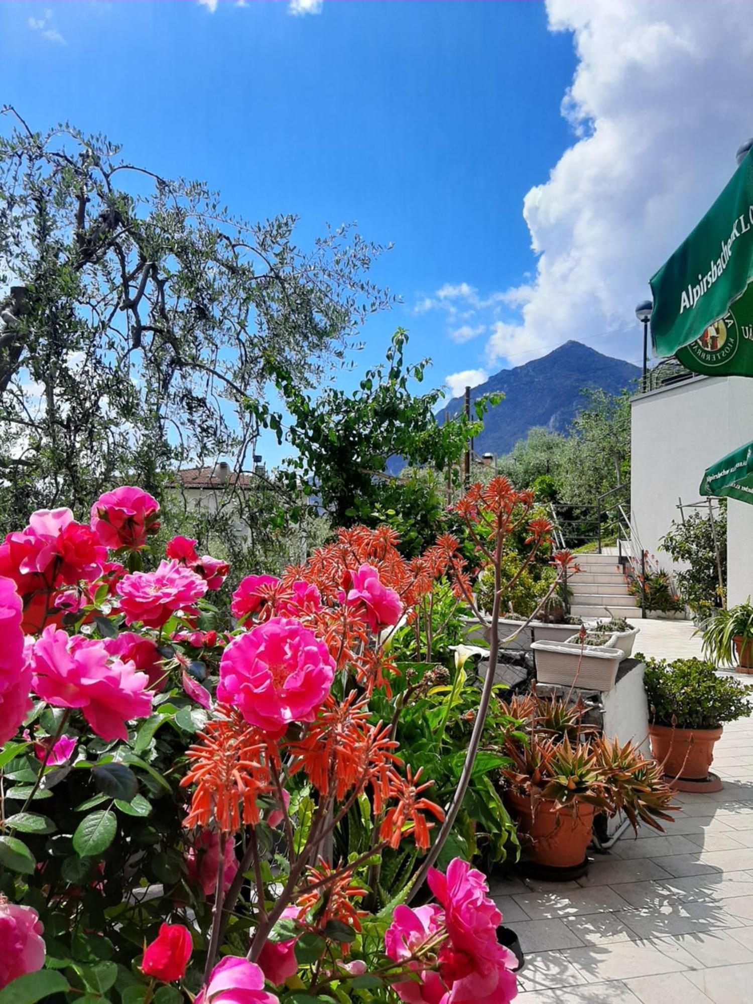 Hotel Augusta Garnì Limone sul Garda Esterno foto