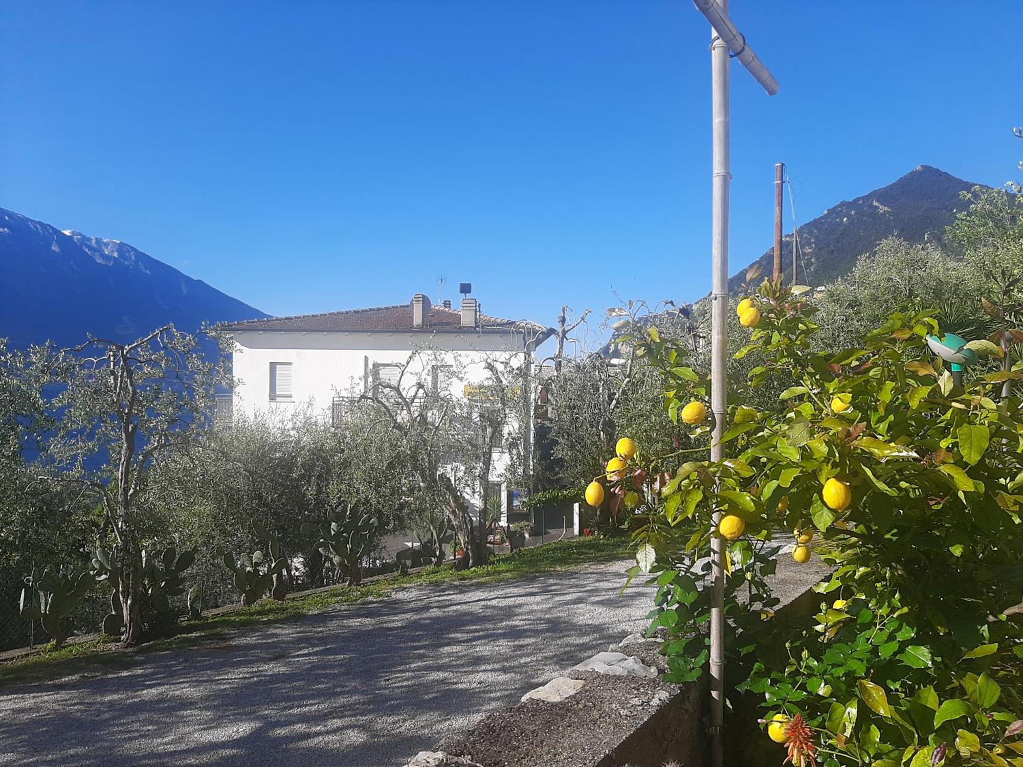 Hotel Augusta Garnì Limone sul Garda Esterno foto